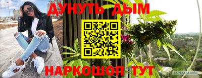 гашик Тула